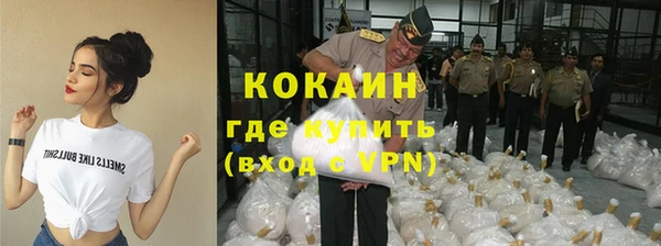 скорость Ельня