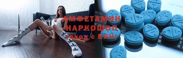 скорость Ельня