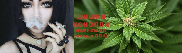 скорость Ельня