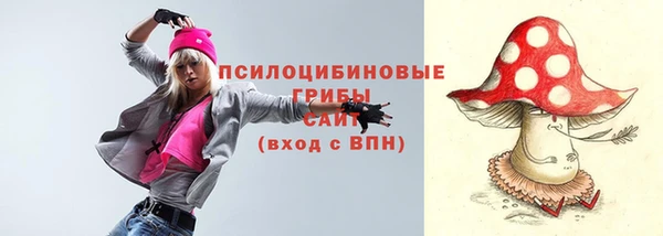 скорость Ельня
