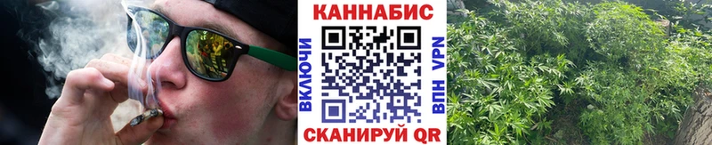 МАРИХУАНА White Widow  маркетплейс телеграм  Новоузенск  купить наркоту  OMG tor 